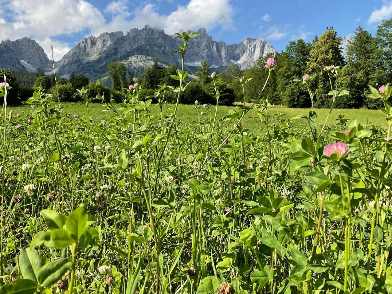 Chalet Belle Kitz By Belle Stay Kitzbuhel Ngoại thất bức ảnh